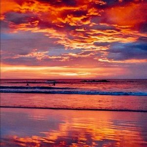 Meet your Posher, Arianna